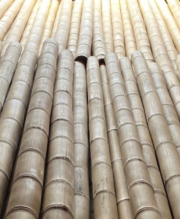 Bamboo Poles