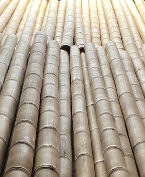 Bamboo Poles